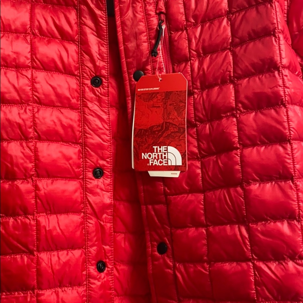 NWT Northface Men’s Lost Coast Jacket